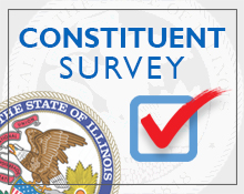 Constituent Survey