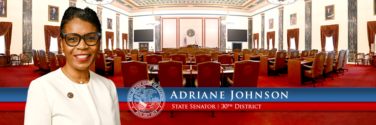 Illinois State Senator Adriane Johnson