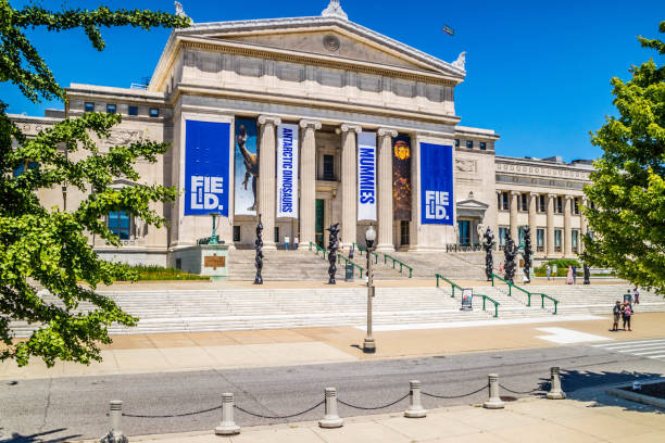 Chicago, IL, USA - July 8, 2018: The famous Field Museum