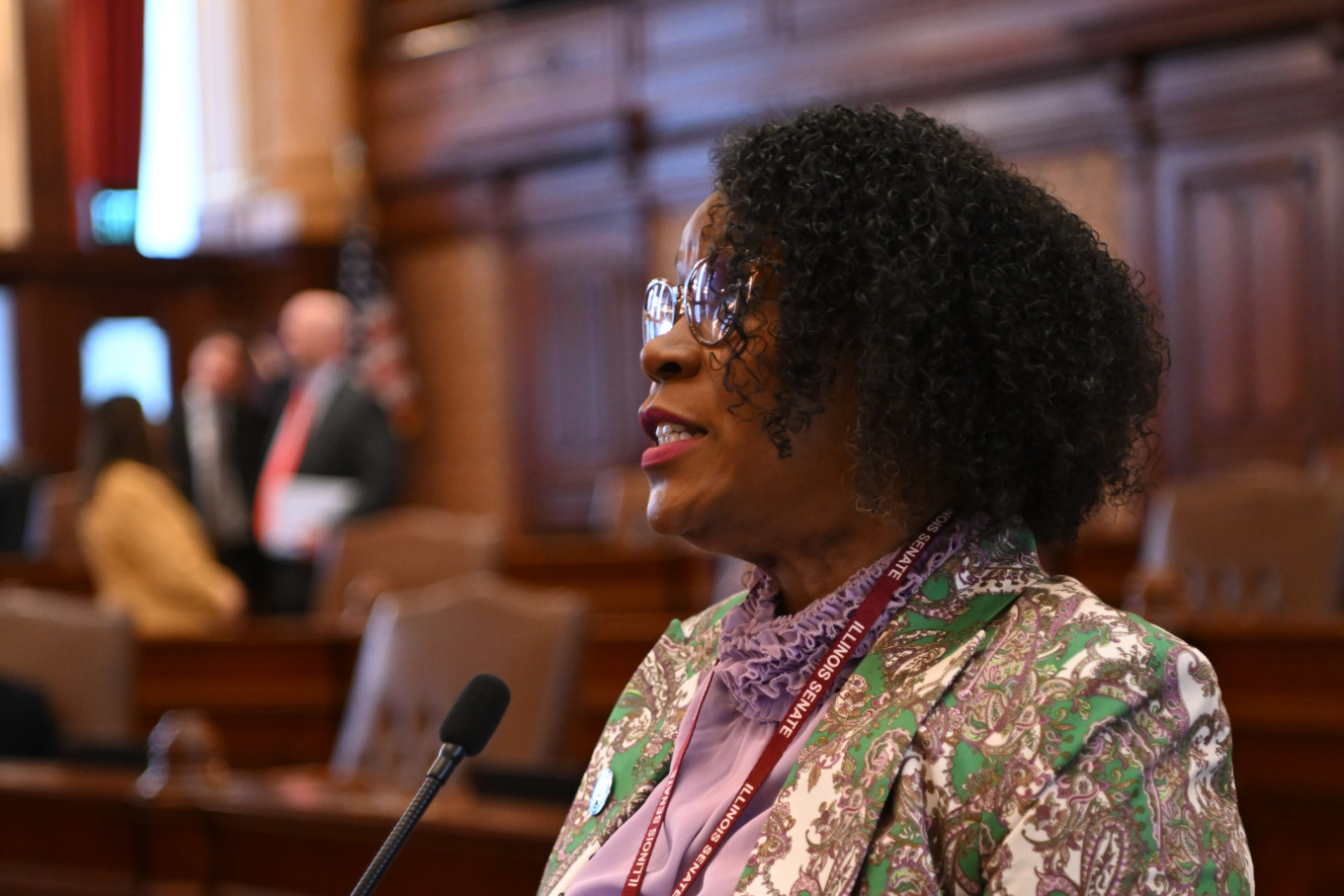 Senator Johnson speaks to the senate