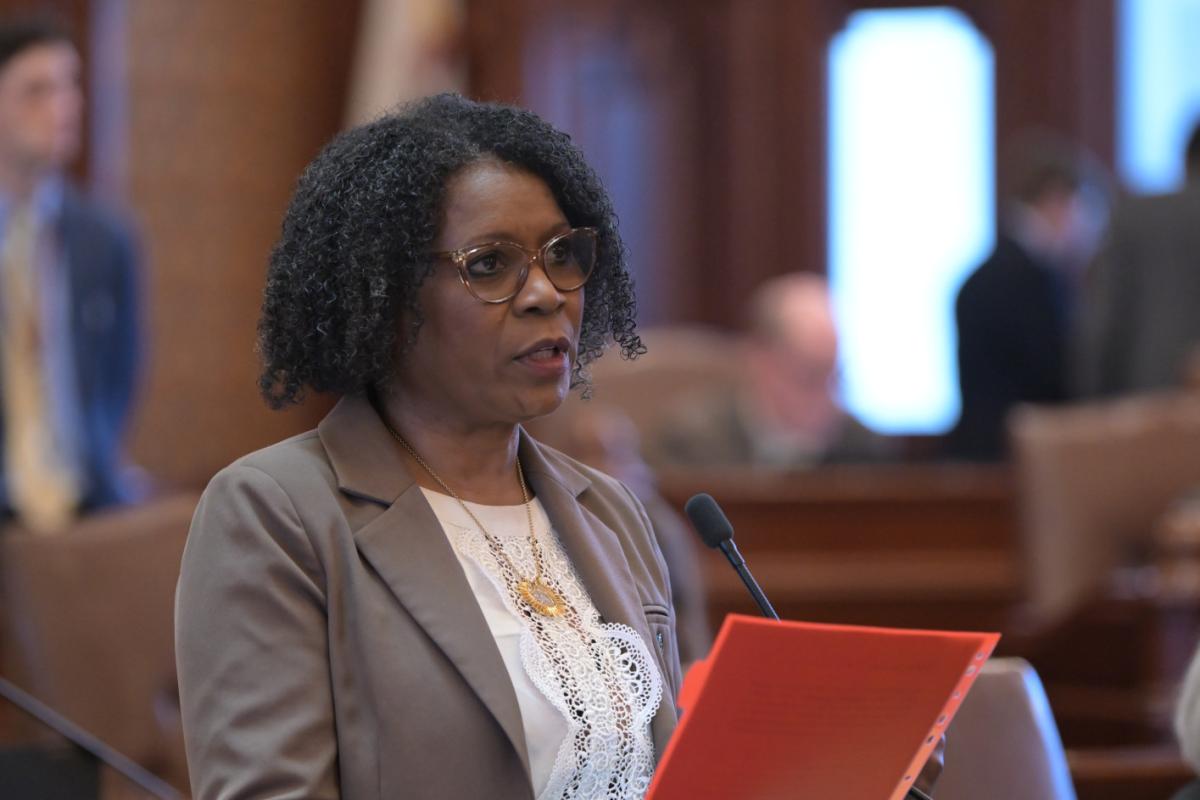 State Senator Adriane Johnson addresses the Senate.